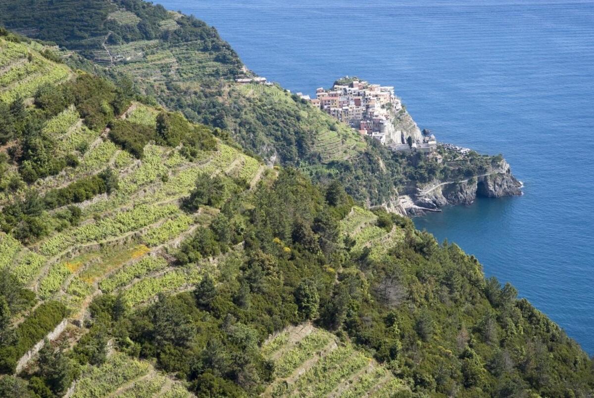 La Casa Fra Gli Ulivi Luxury Apartments With Pool Near Cinque Terre And Tuscany 몬테 마르첼로 외부 사진