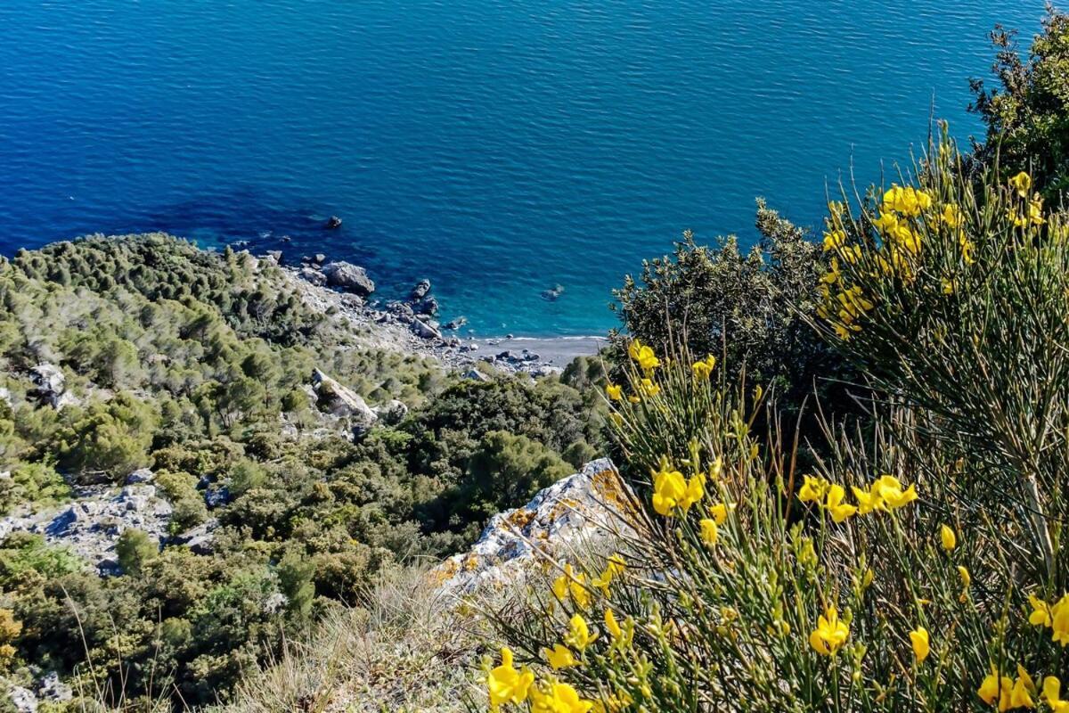 La Casa Fra Gli Ulivi Luxury Apartments With Pool Near Cinque Terre And Tuscany 몬테 마르첼로 외부 사진
